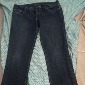 Banana Republic Blue Straight Leg Jeans